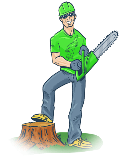 Melbourne Stump Removal - Trained Professionals