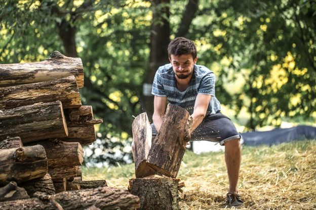 affordable stump removal Melbourne
