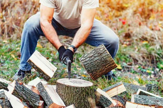 cheap tree stump removal