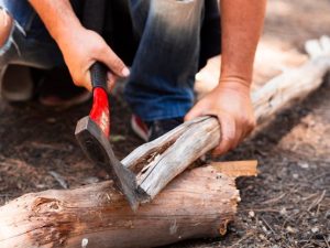 local tree stump removal service