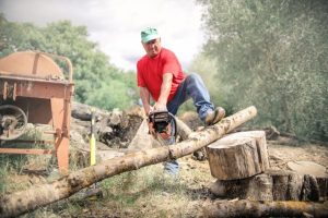stump grinding near me