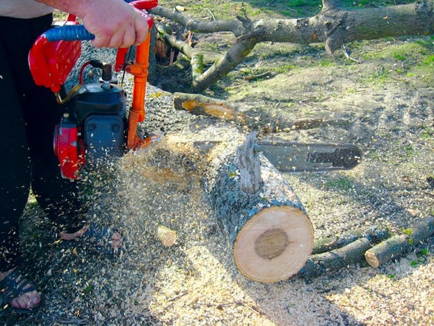 stump grinding services Melbourne