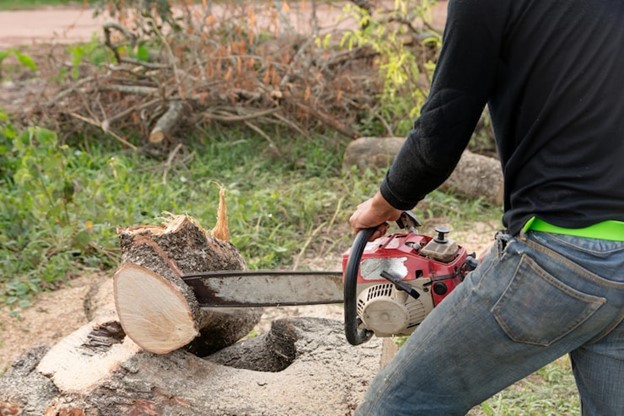 stump removal Melbourne