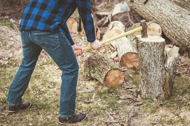 tree stump removal Melbourne