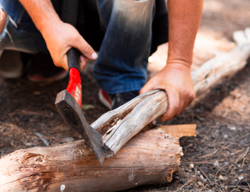 How to Find Reliable Stump Grinding Contractors Near You in Melbourne