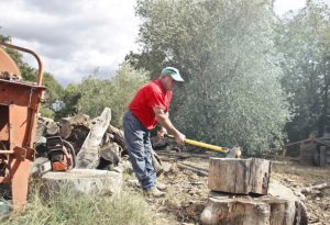 Stump Grinding Melbourne