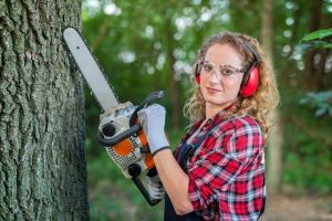 Melbourne tree stump removal