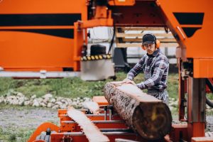 Tree and stump removal experts