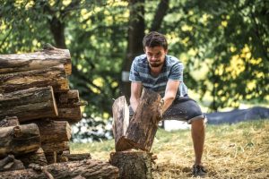 tree mulching services Melbourne